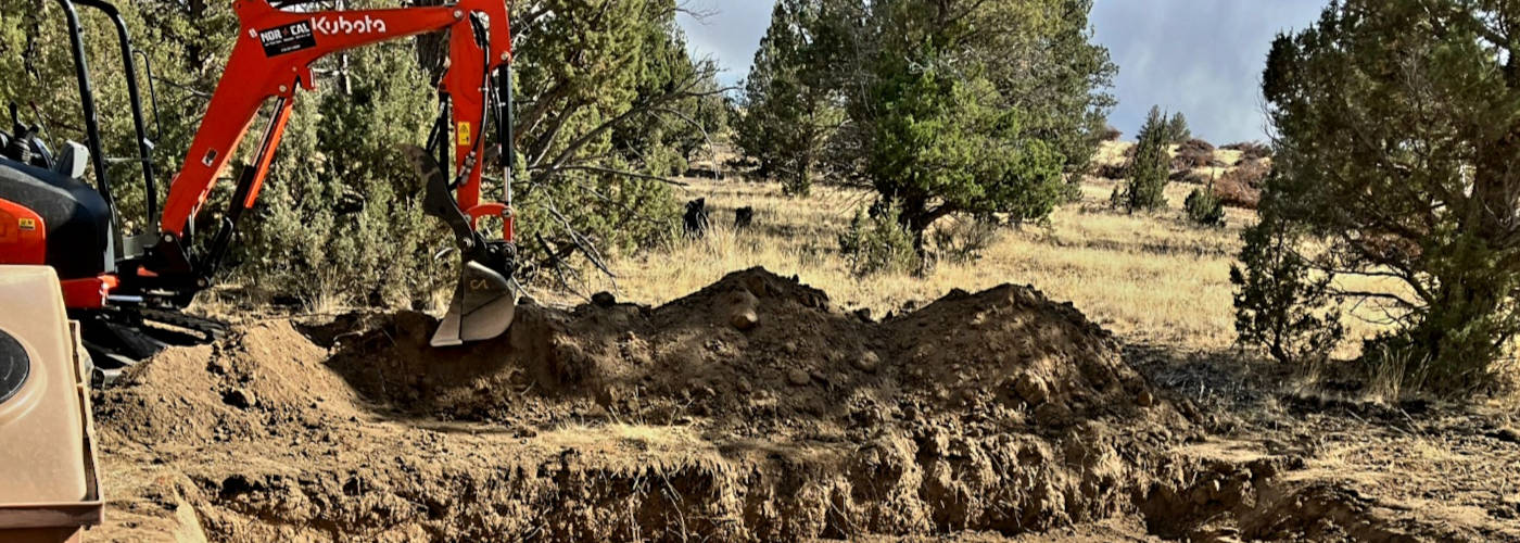 Featured Image for Bevans Tree Service LLC